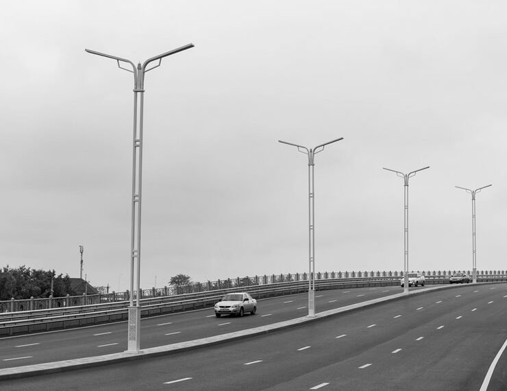 professional backlink services offered